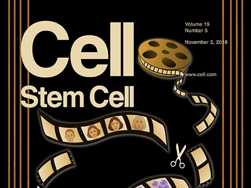 Cover: Cell Stem Cell, Nov 2016