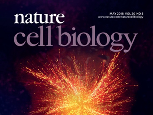 Cover: Nature Cell Biology, April 2018